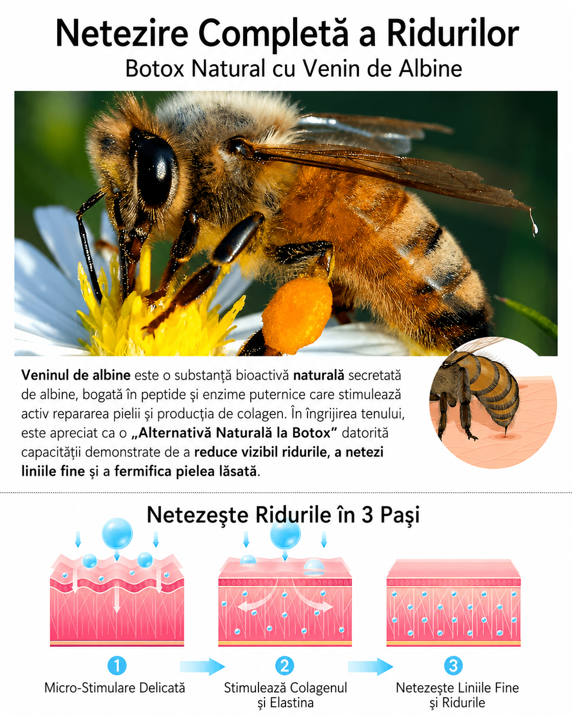 Cremă Anti-Rid cu Venin de Albine și Colagen